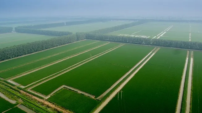 走进乡村看小康：龙虾小镇活力旺